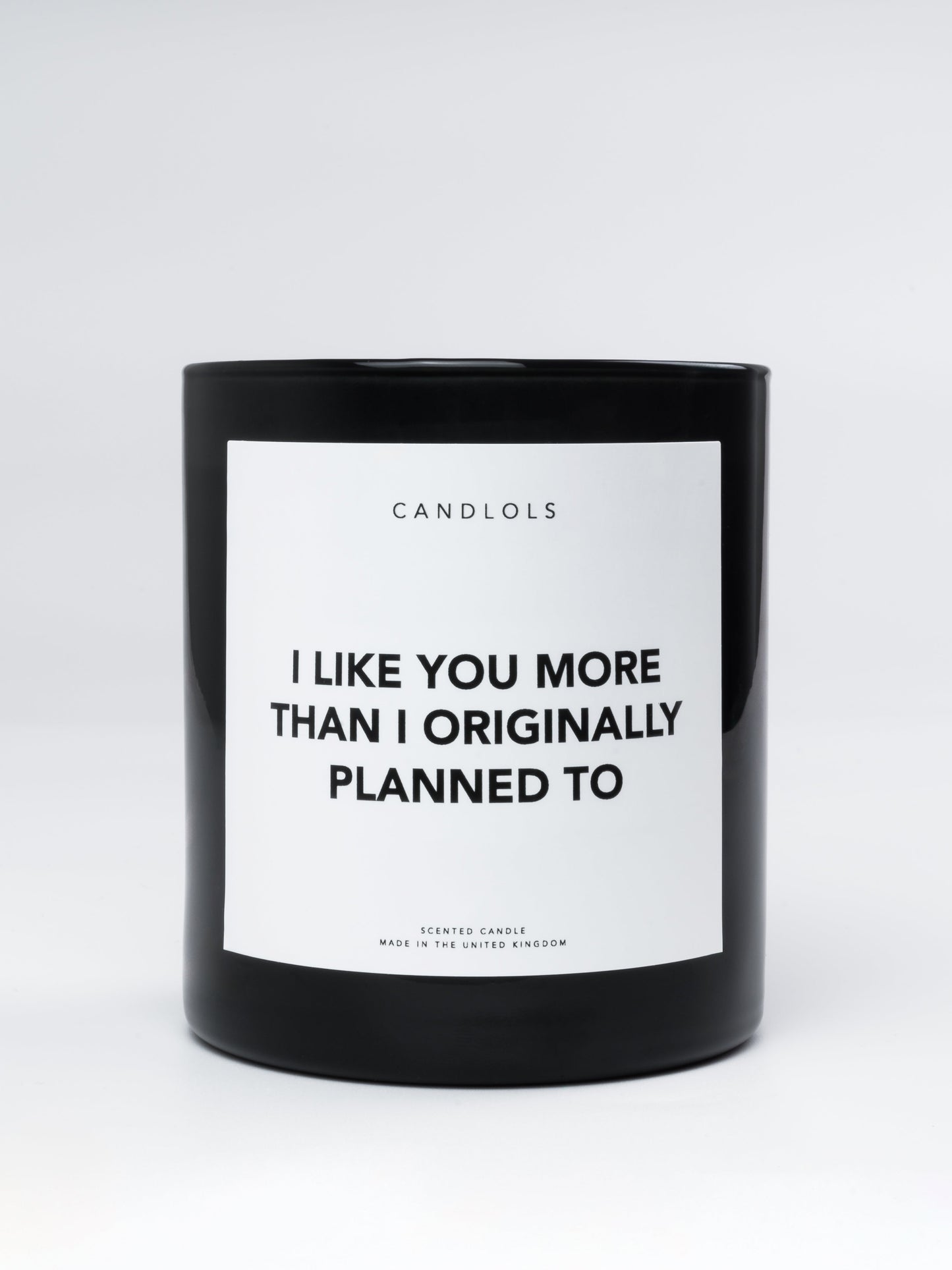 I Like You More Than I Originally Planned To, Luxury Scented Candle
