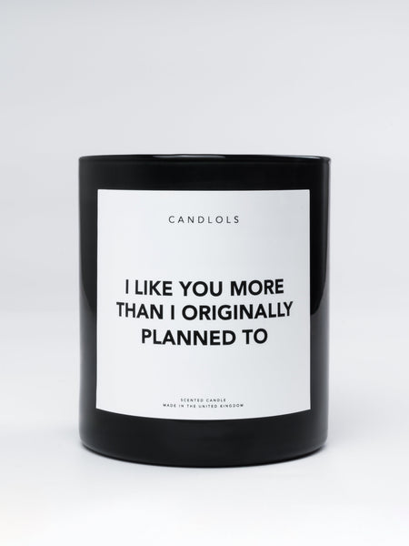 I Like You More Than I Originally Planned To, Luxury Scented Candle