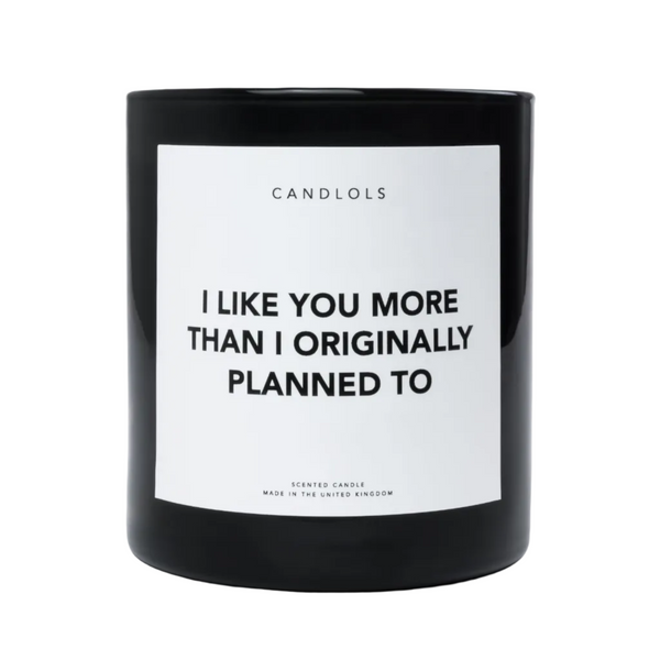 I Like You More Than I Originally Planned To, Luxury Scented Candle