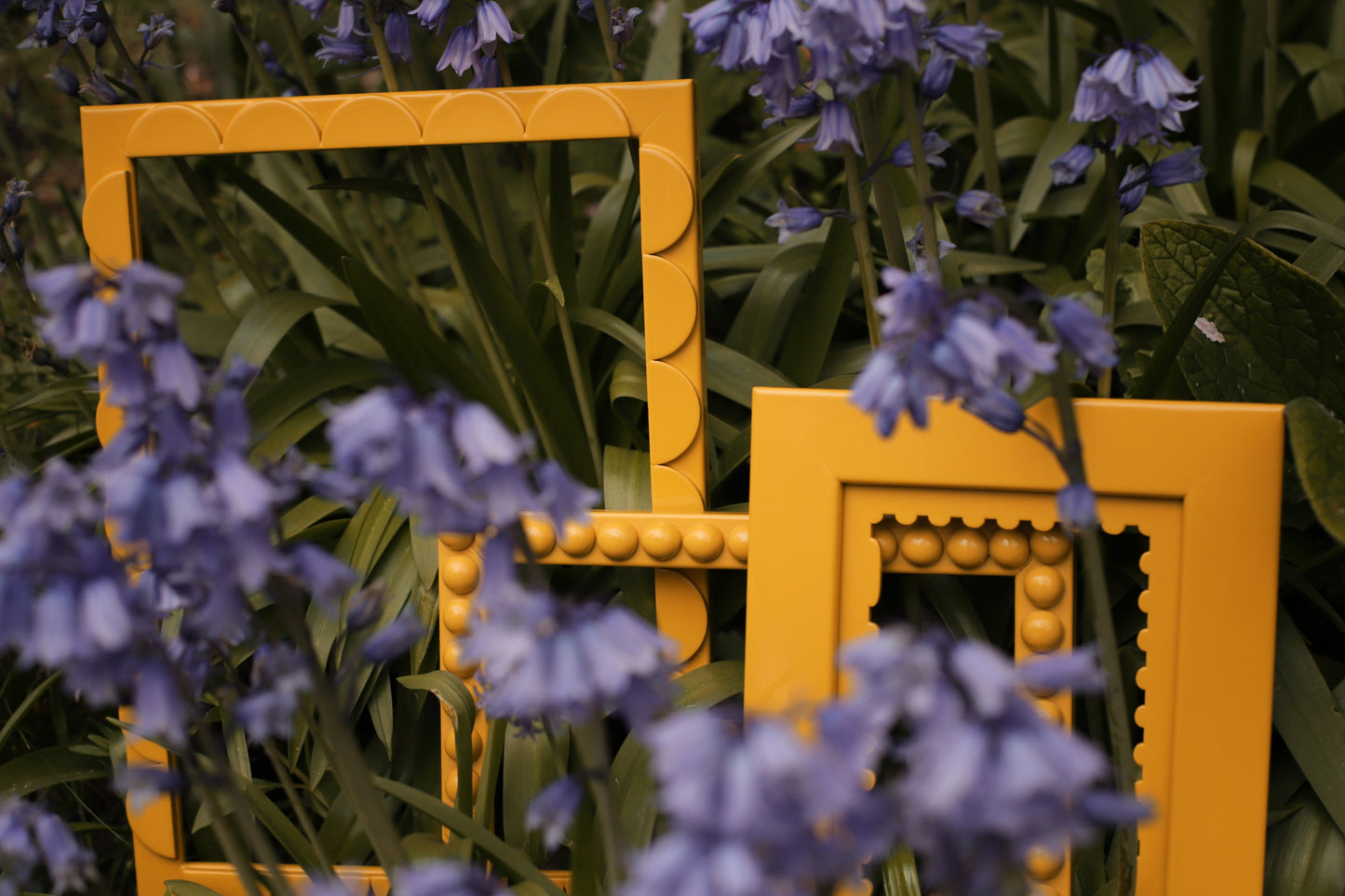 Mimosa Lacquered Scallop Frame