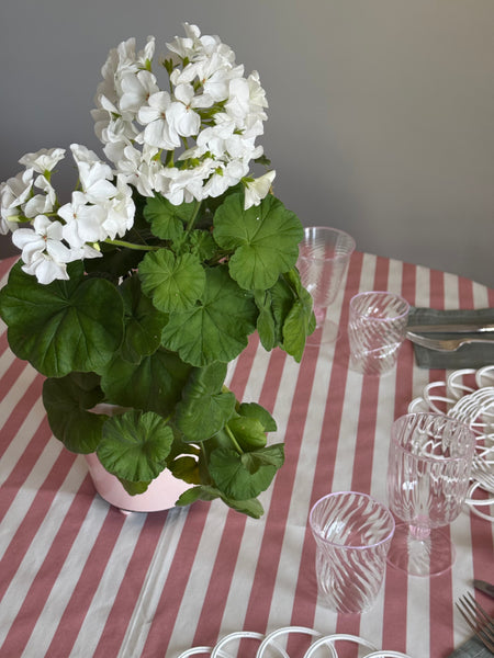 The Adrienne Venetian Tumbler in Pink