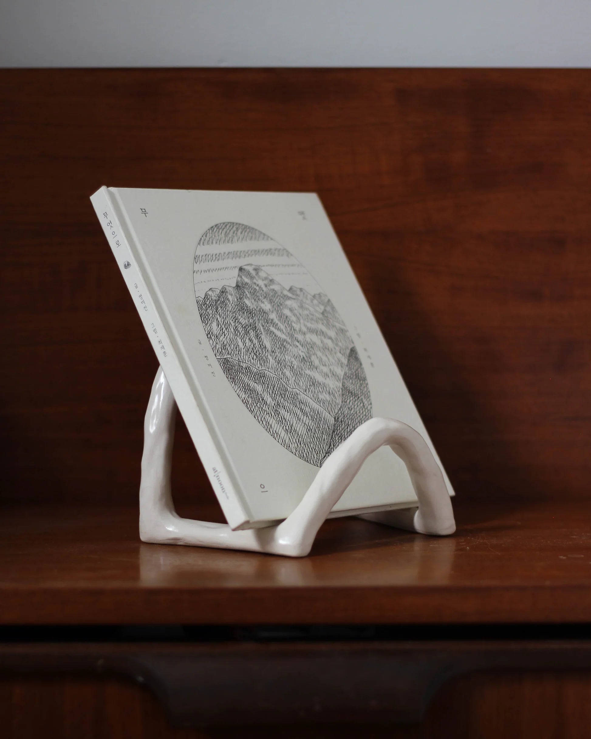 Book Display Stand