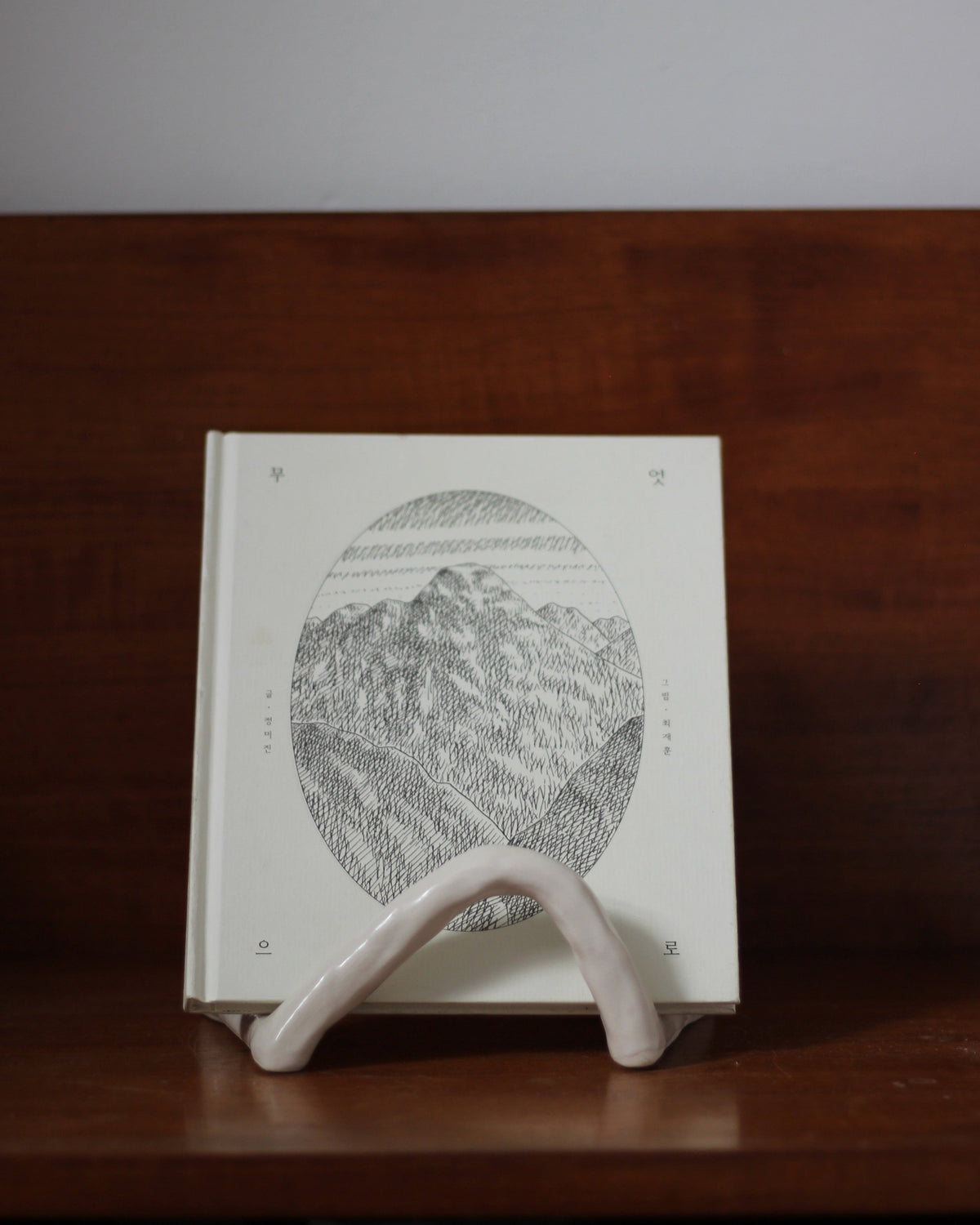 Book Display Stand