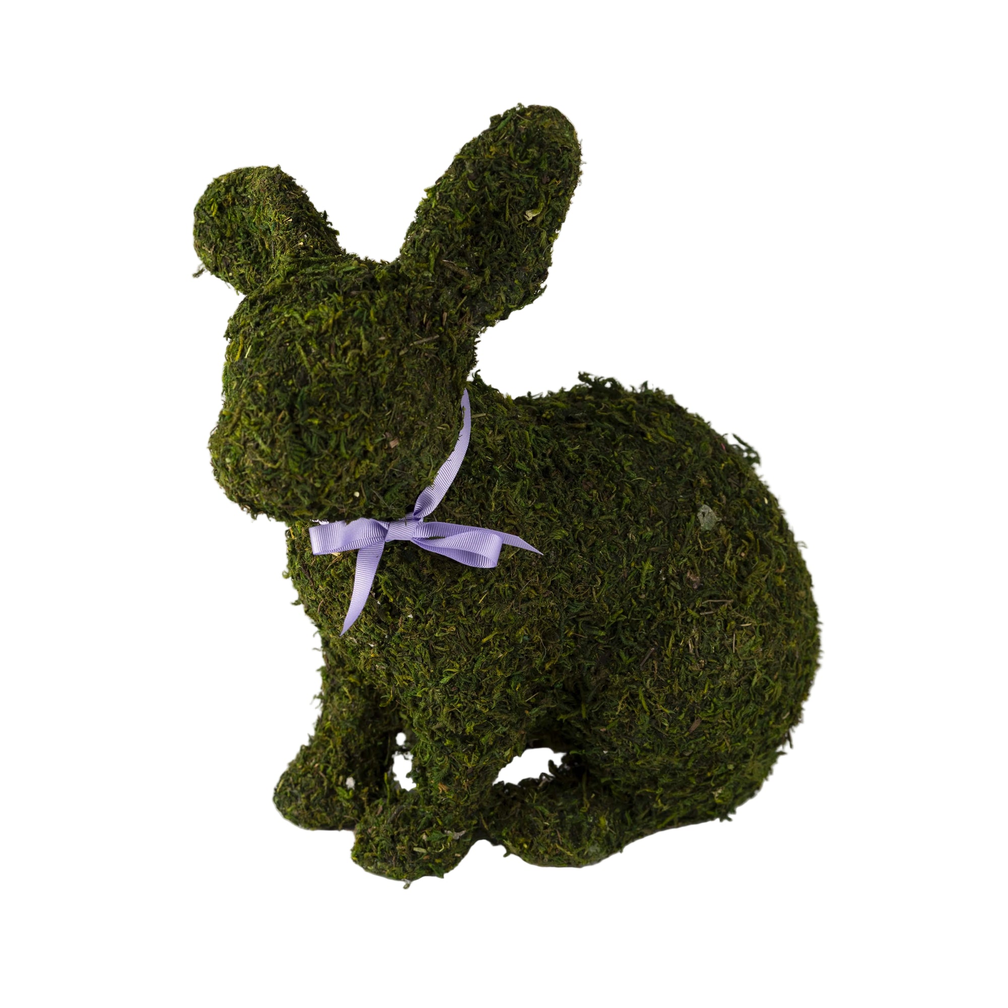 Large Moss Rabbit