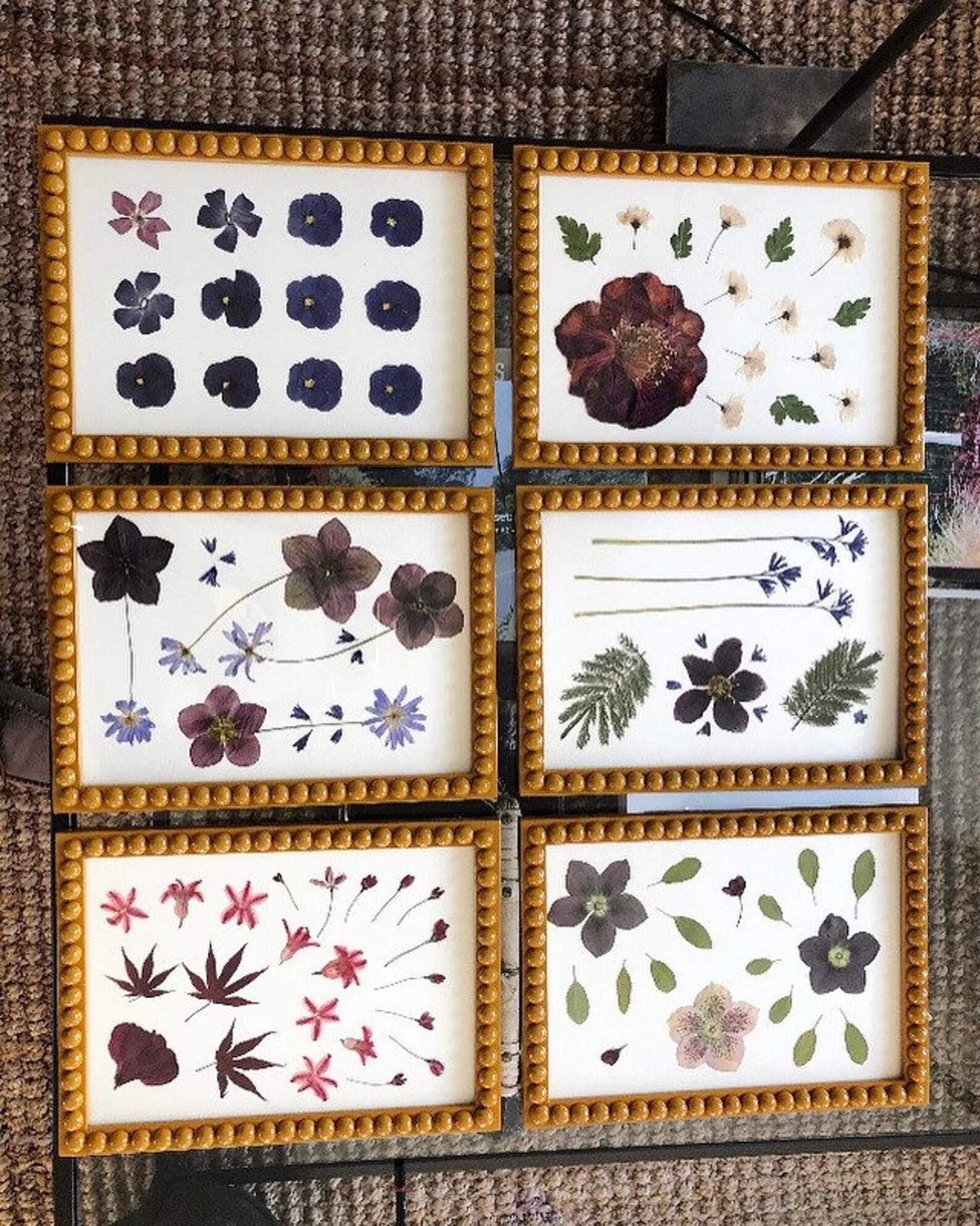 Set of Mustard Bobbin Frames