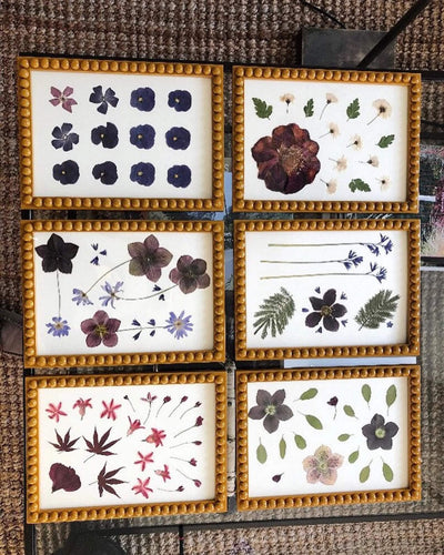 Set of Mustard Bobbin Frames