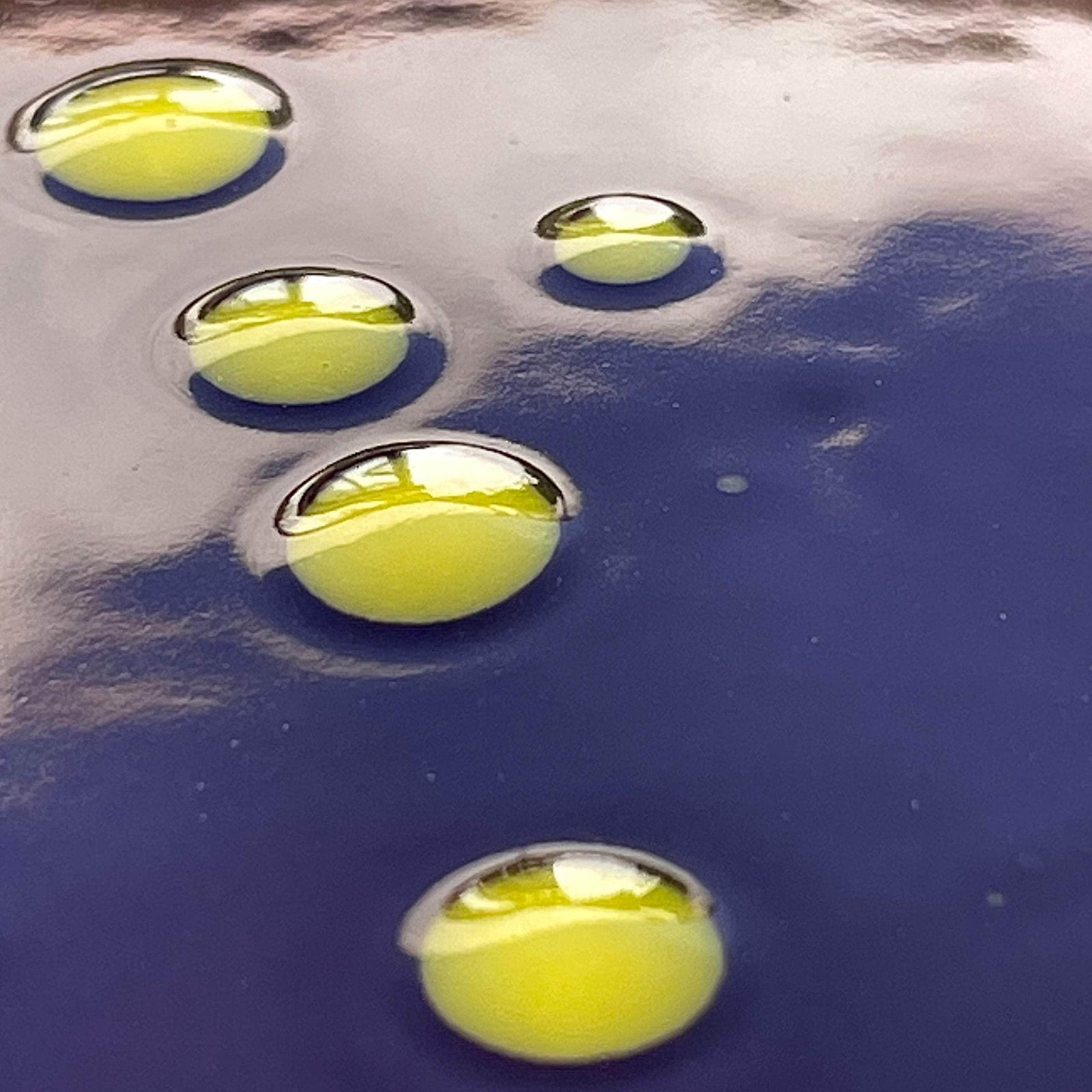 Hand Splatter Terracotta Soup Plate