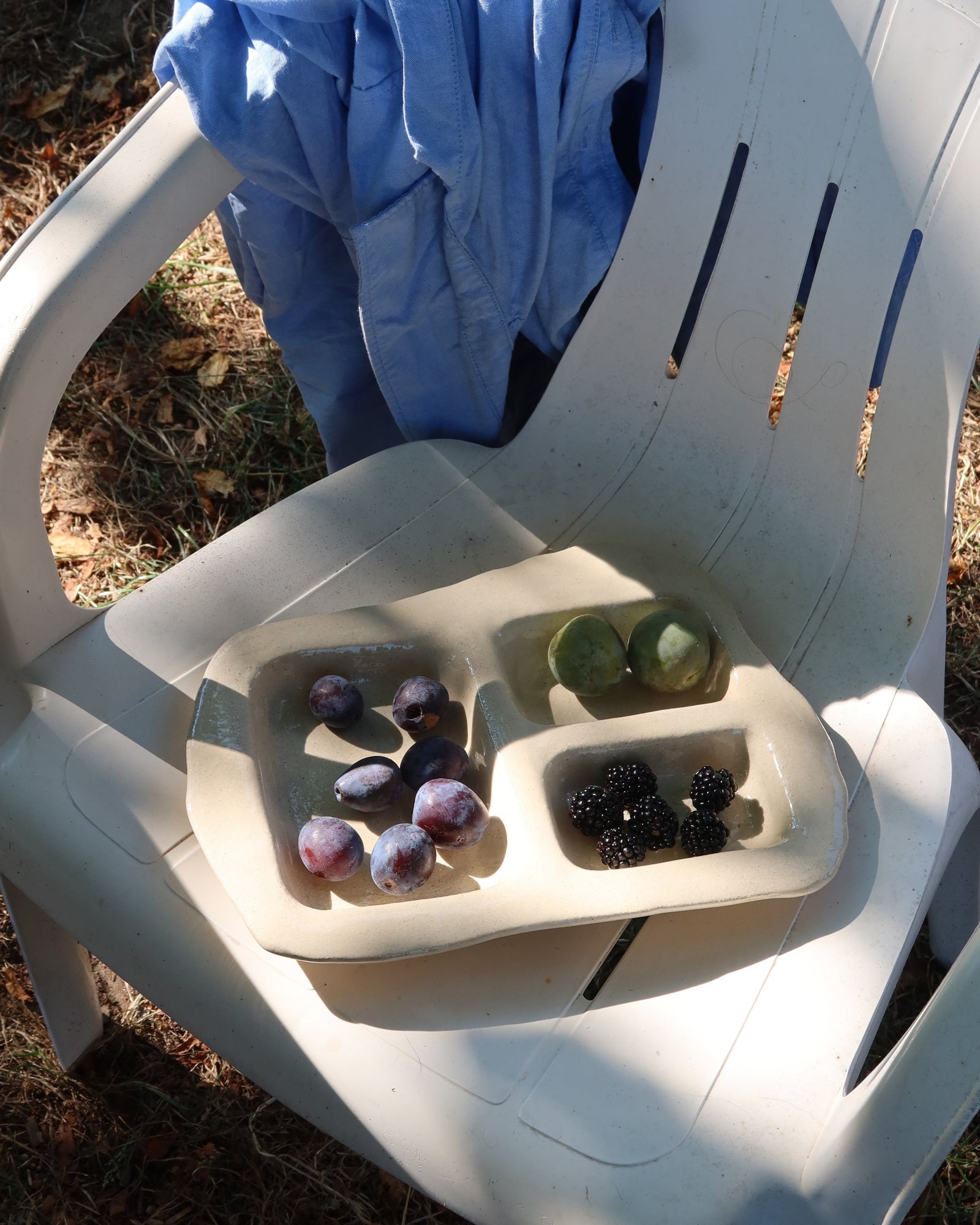 Compartment Tray