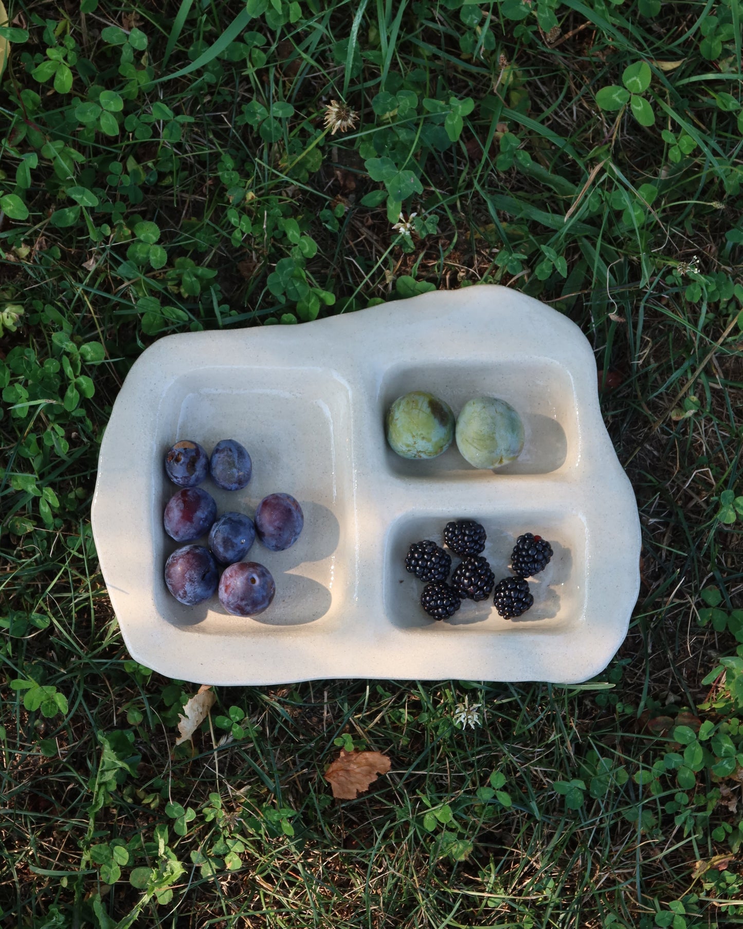 Compartment Tray