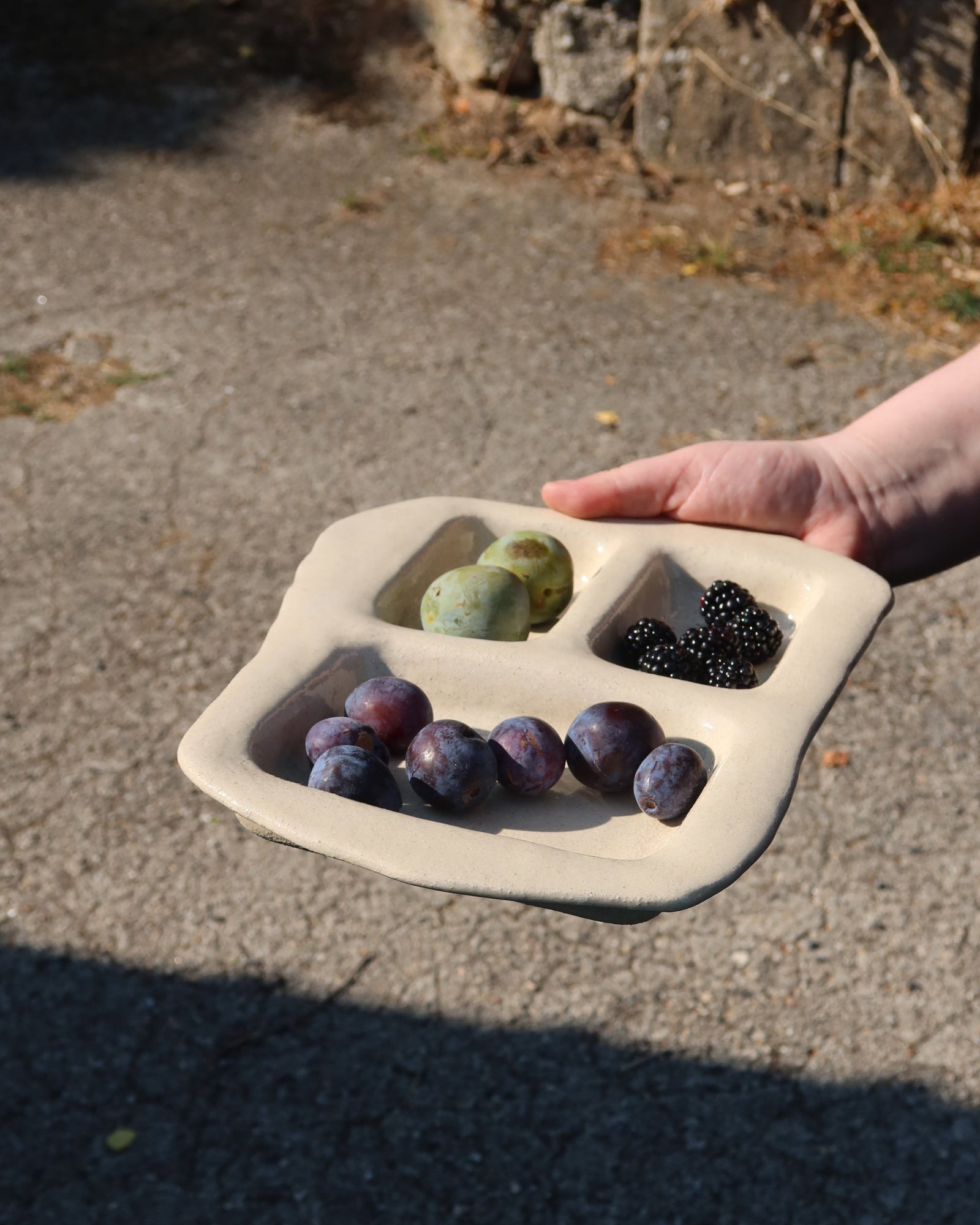Compartment Tray