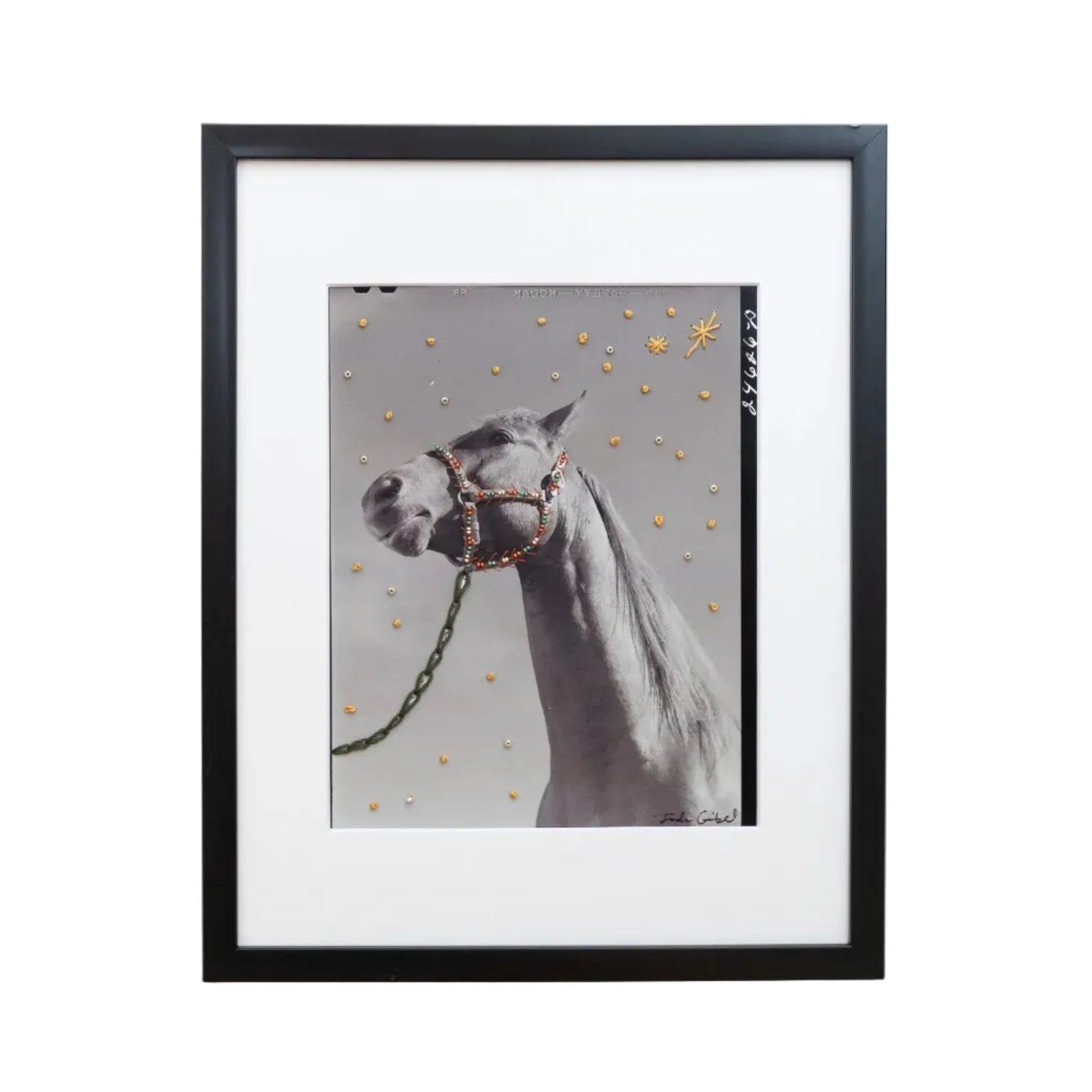 Delta Dawn Print