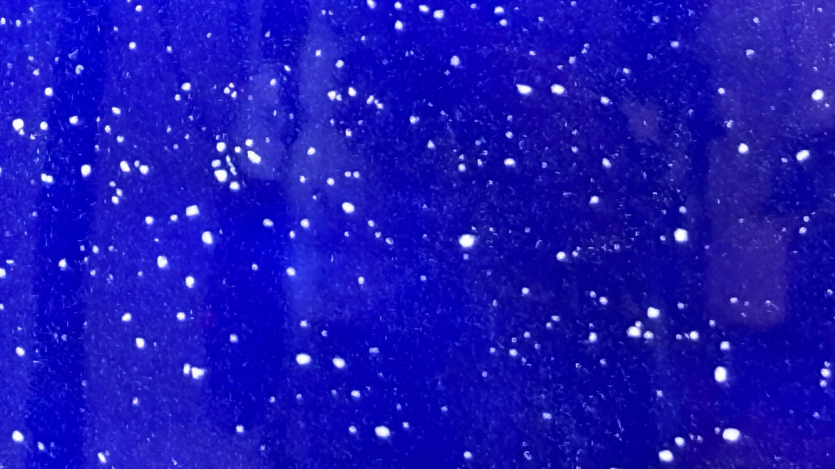 Cookie/Biscuit Jar Canister Night Sky Blue