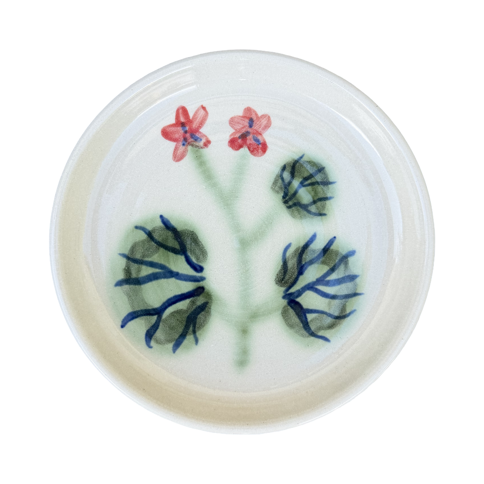 Pelargonium Dish