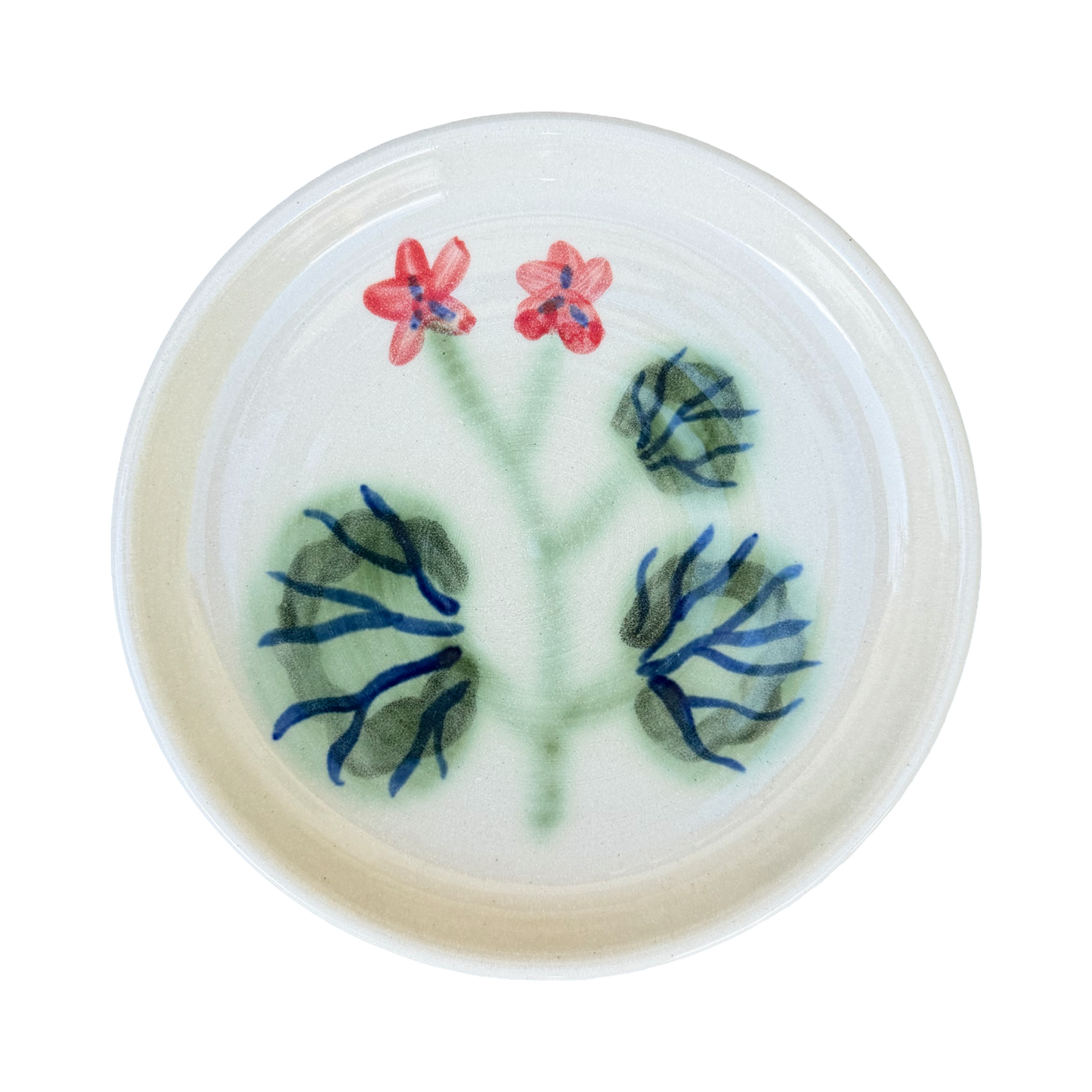 Pelargonium Dish