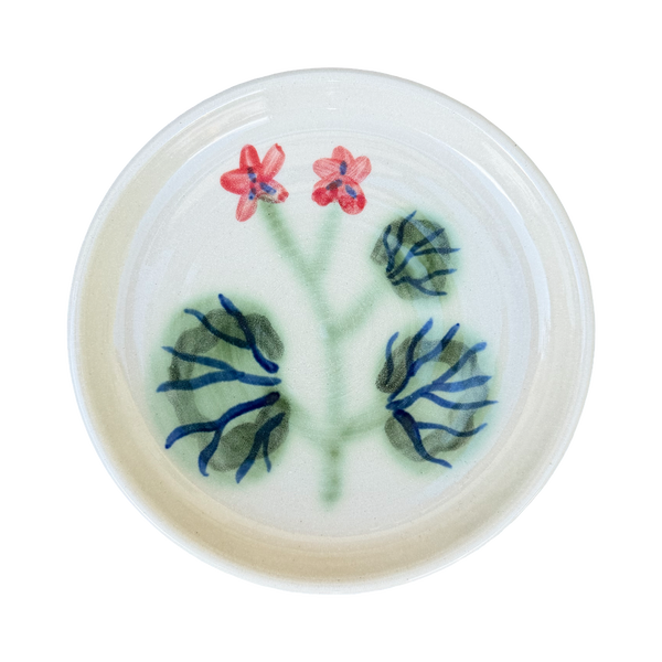 Pelargonium Dish