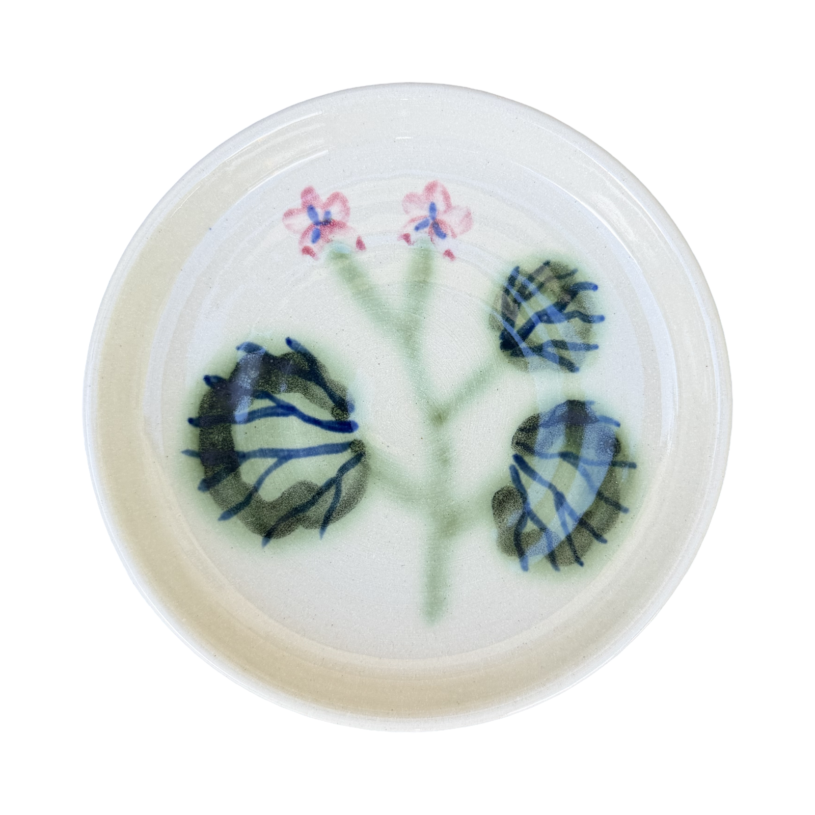 Pelargonium Dish
