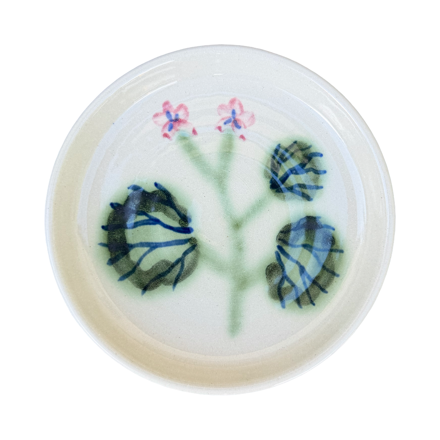 Pelargonium Dish