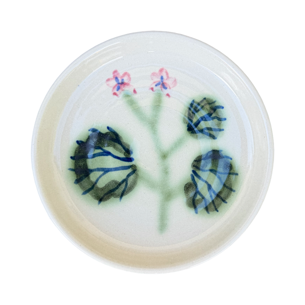 Pelargonium Dish