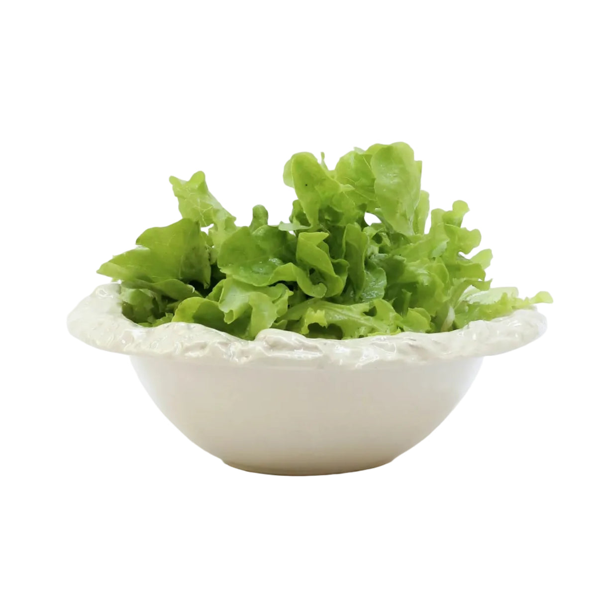 Samena - Salad Bowl