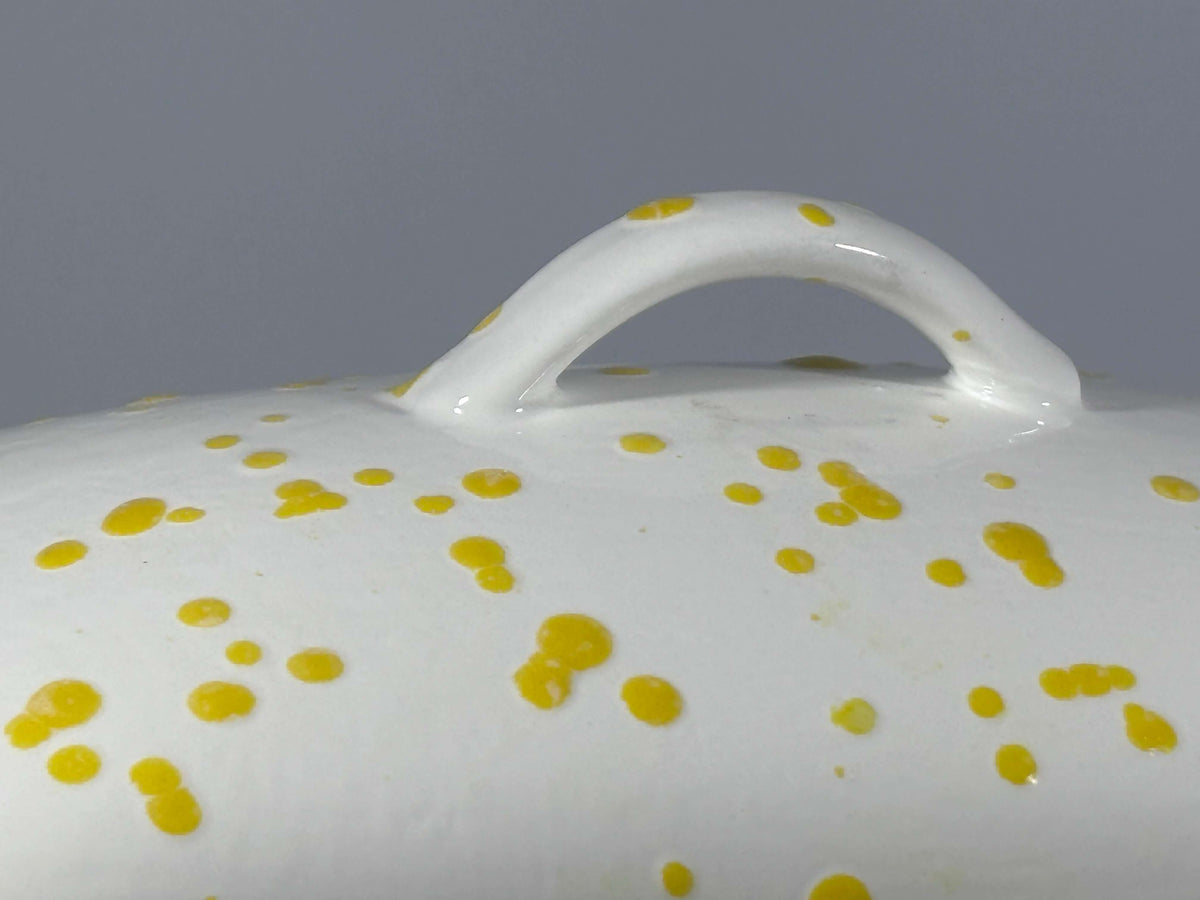 Butter Dish with White Lid Yellow Spots