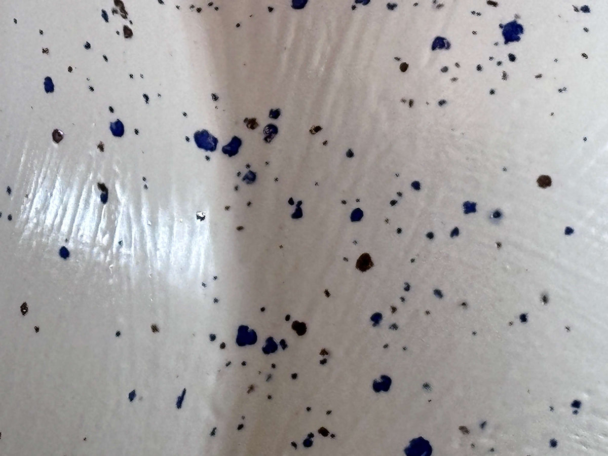 Salt Pig Speckled Blue and White Glaze