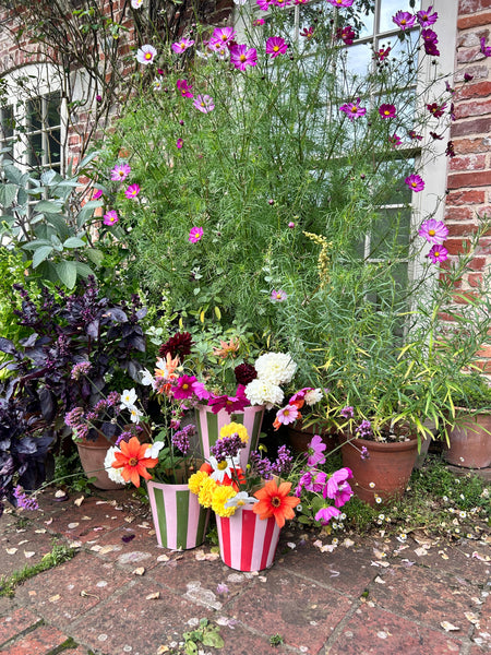 The Penny Planter in Pink and Green Stripe