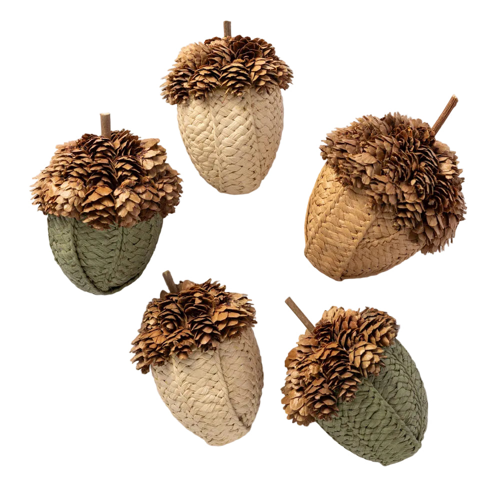 Pinecone and Fabric Acorns