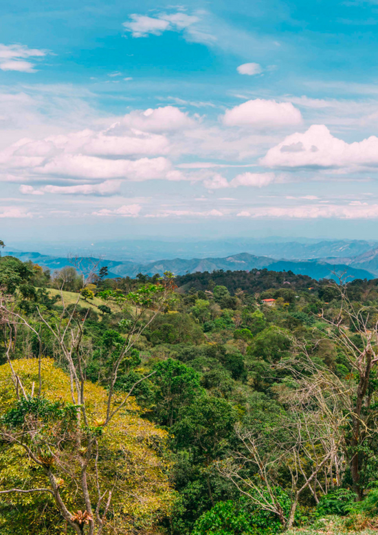 Bogota
