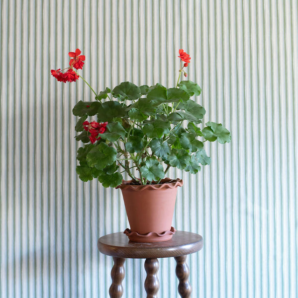 Modern Ticking Wallpaper - Seafoam