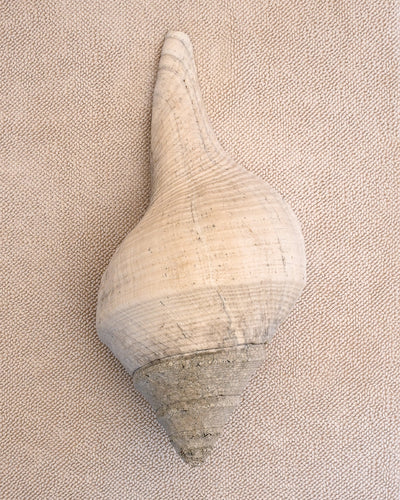 Large shell on ecru coloured chunky weave cotton bathmat by Kobn