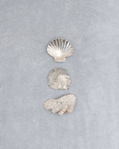 Three shells on a pale mist blue chunky cotton weave bathmat by Kobn