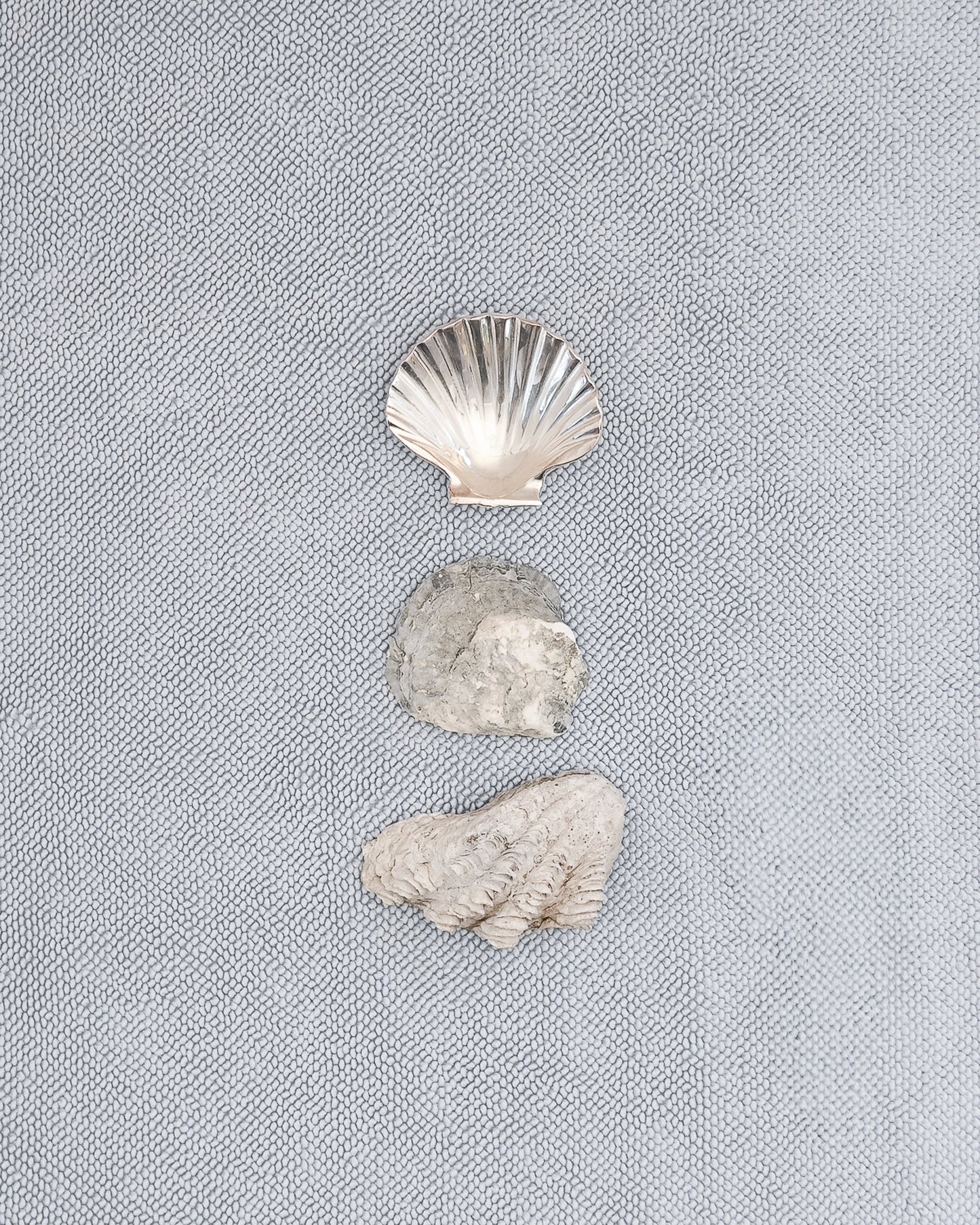 Three shells on a pale mist blue chunky cotton weave bathmat by Kobn