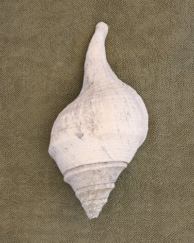 Large White conical shell on an Olive chunky cotton bathmat by Kobn 