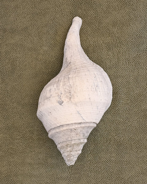 Large White conical shell on an Olive chunky cotton bathmat by Kobn 