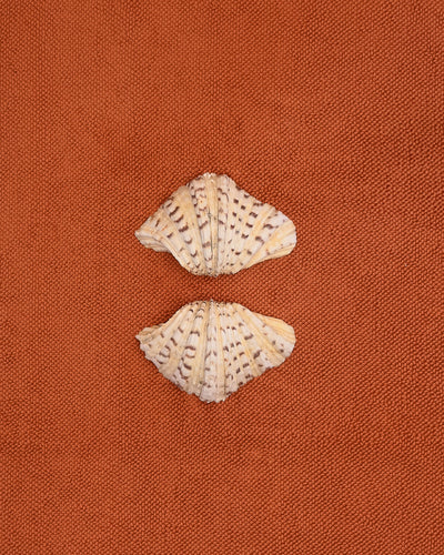 Clam shell pair on a textured cotton bath mat in Tamarillo colour by Kobn