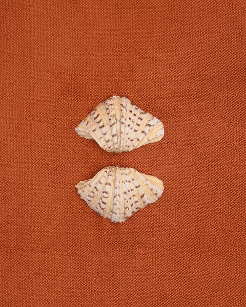 Clam shell pair on a textured cotton bath mat in Tamarillo colour by Kobn