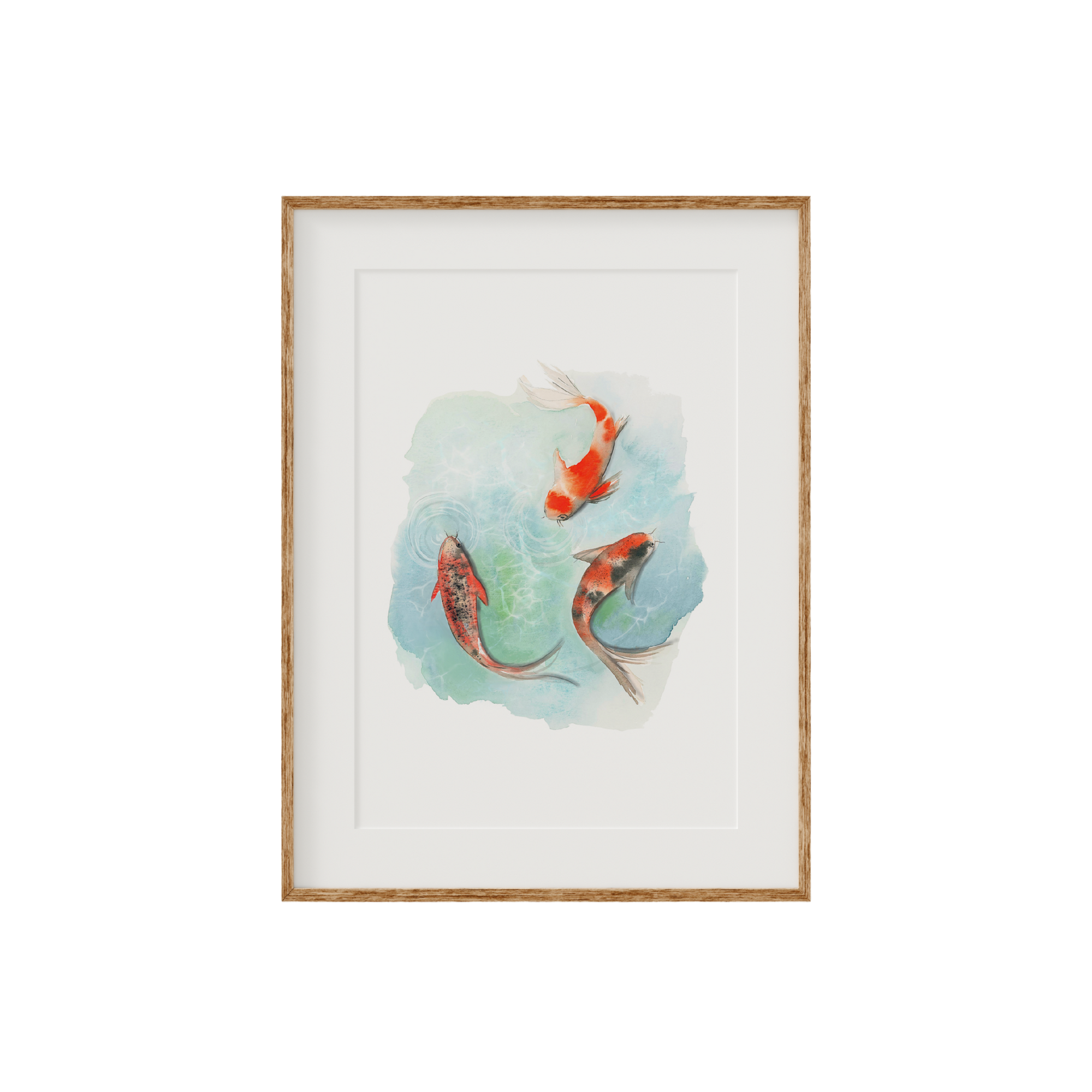 Koi Fish Fine Art Print