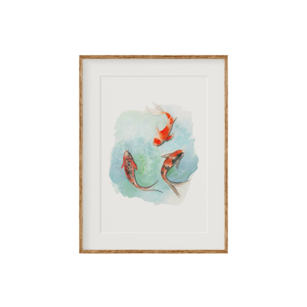 Koi Fish Fine Art Print