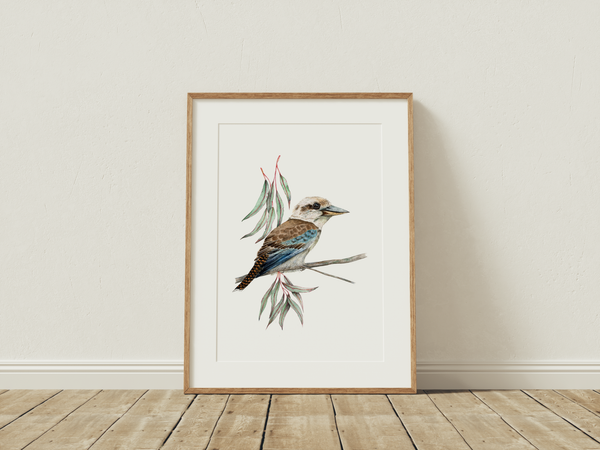 Kookaburra Bird Fine Art Print