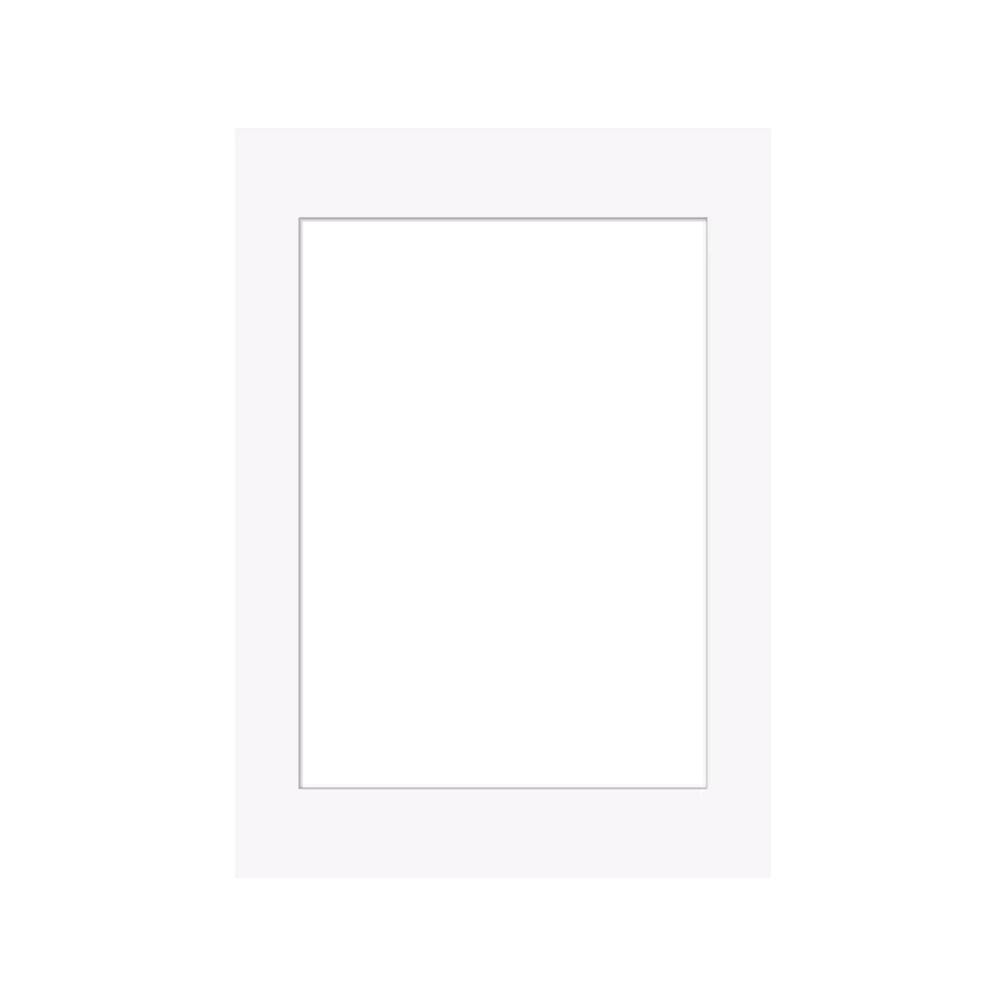White Picture Frame Mount