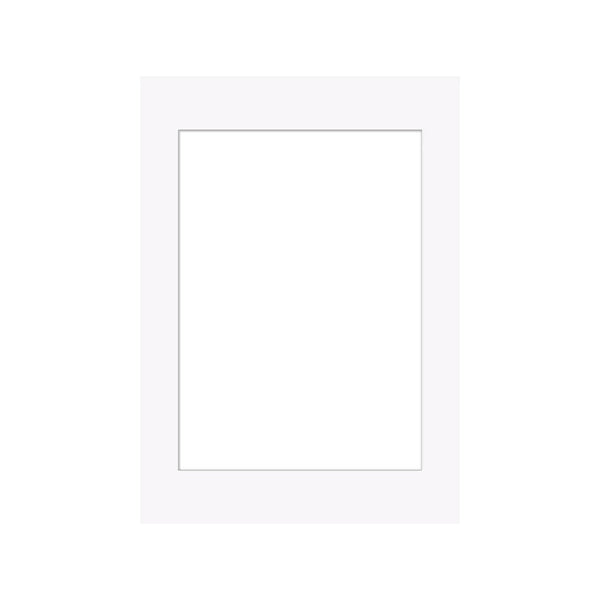 White Picture Frame Mount