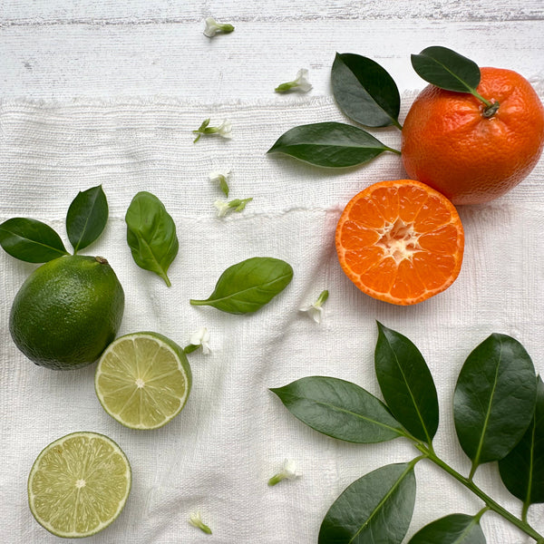 100% Plant Wax Candle - Lime, Basil + Mandarin