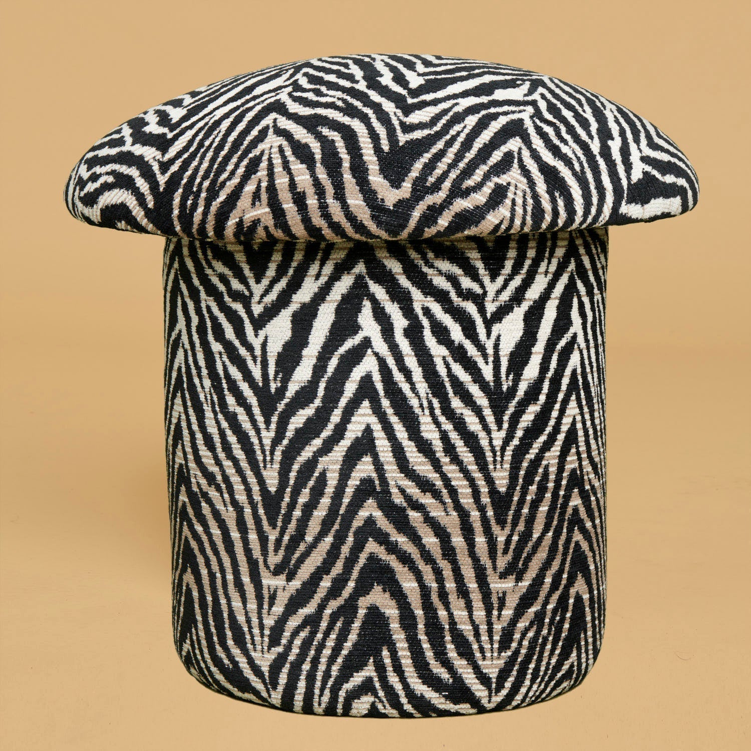 Zebra Stripe Stool
