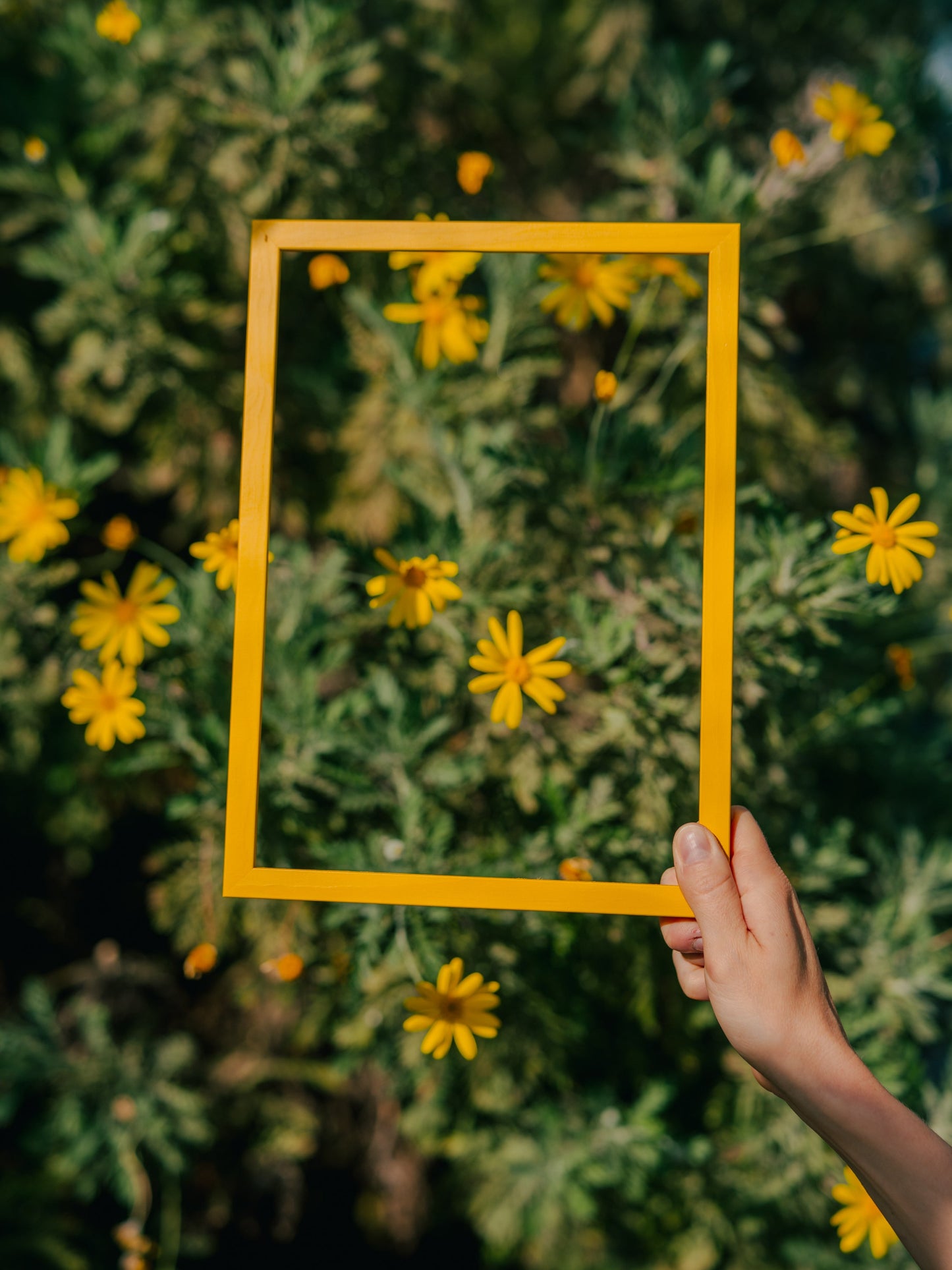 Naples Yellow Wood Picture Frame