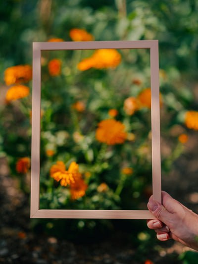 Plaster Pink Wood Picture Frame
