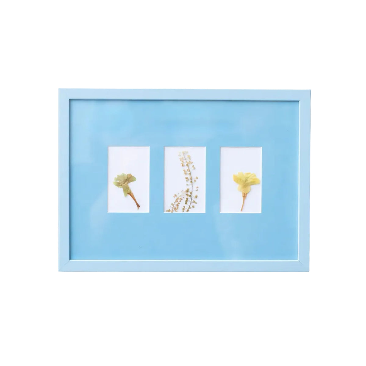 Late Afternoon Sky Blue A4 Instax Mini x 3 Picture Mount and Sky Blue Frame