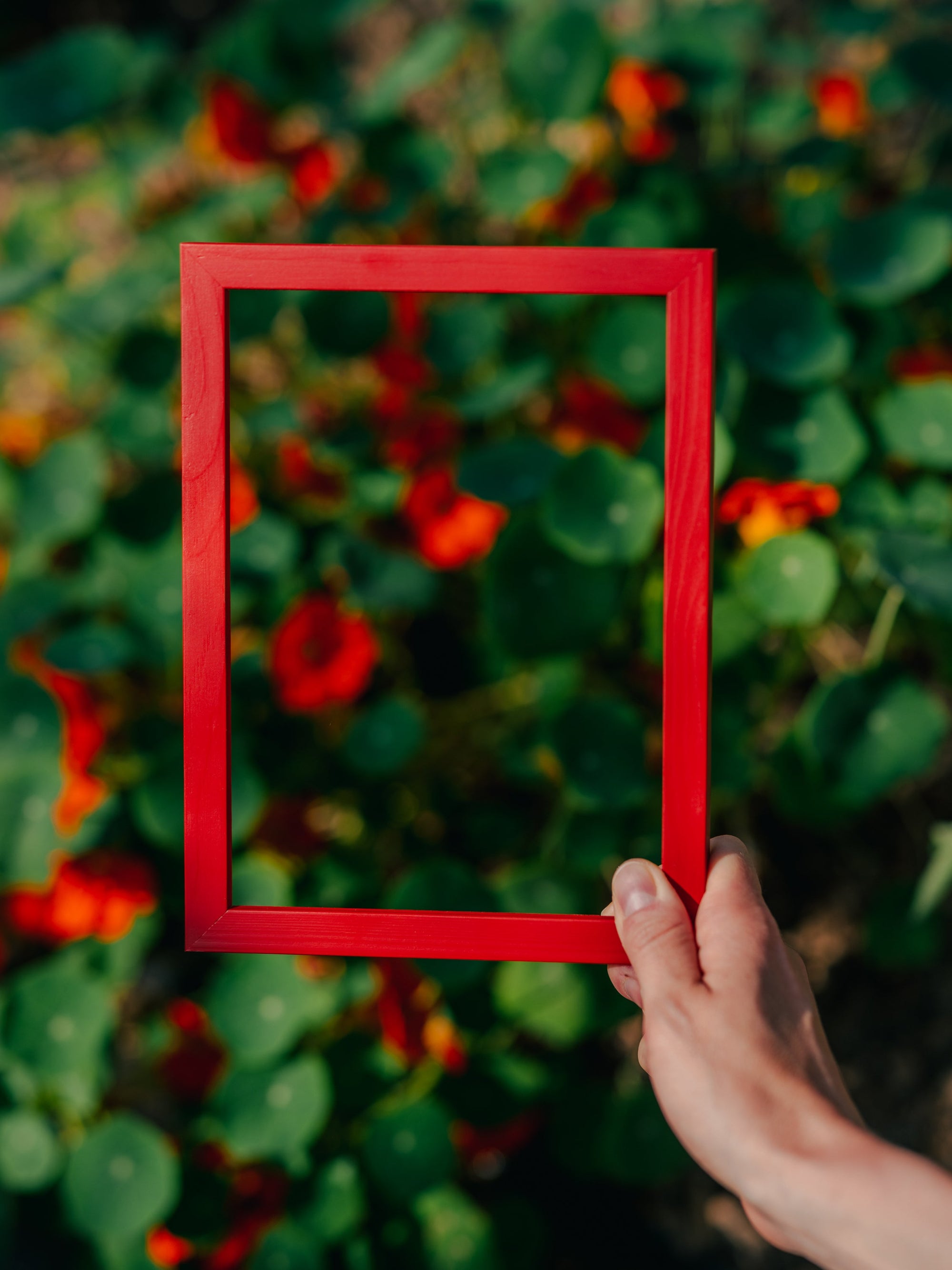 Venetian Red Wood Picture Frame