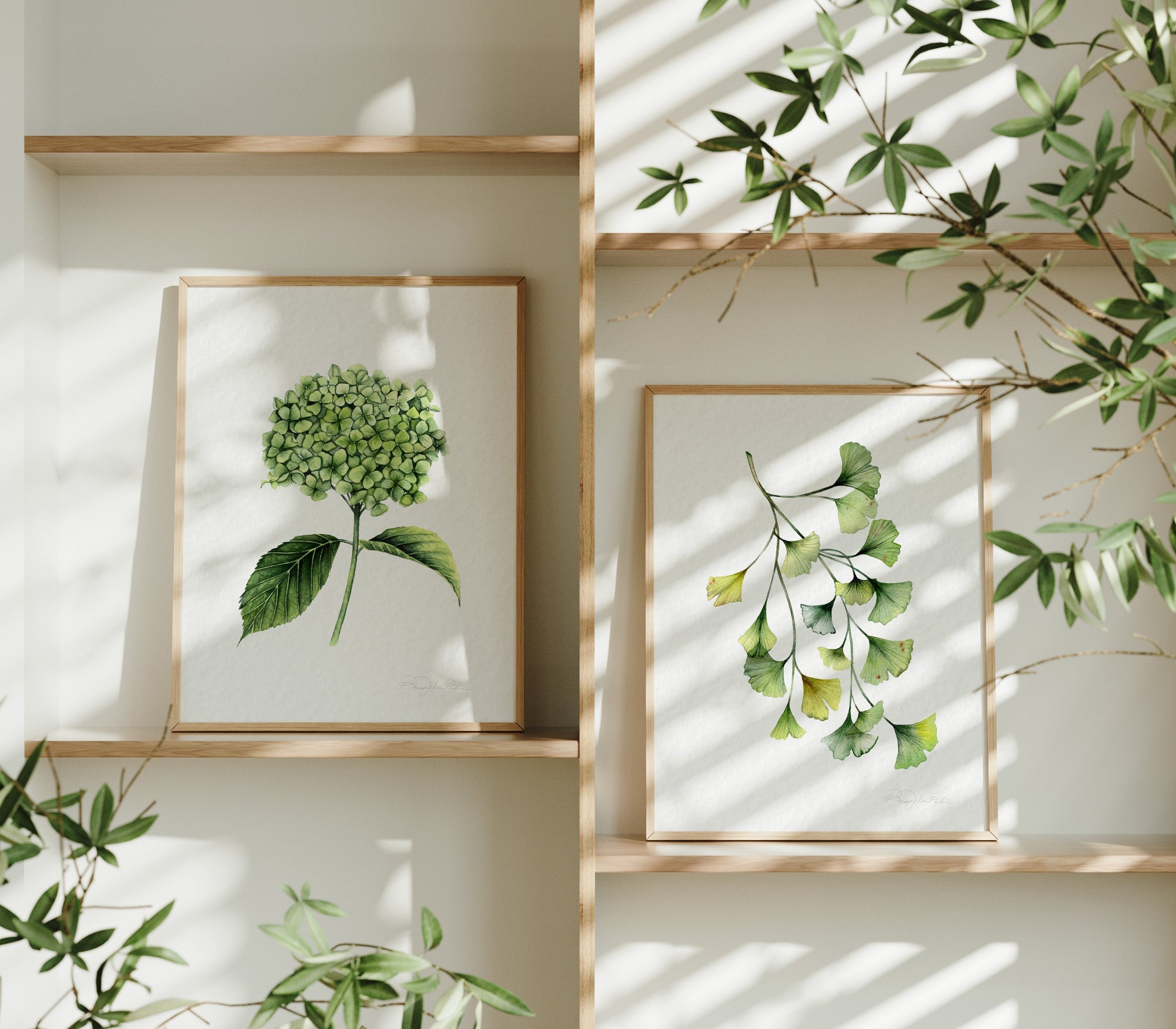 Ginkgo Biloba Fine Art Print