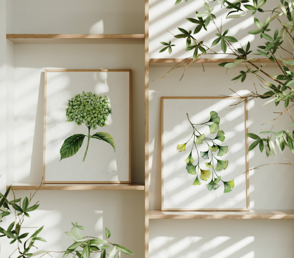 Ginkgo Biloba Fine Art Print