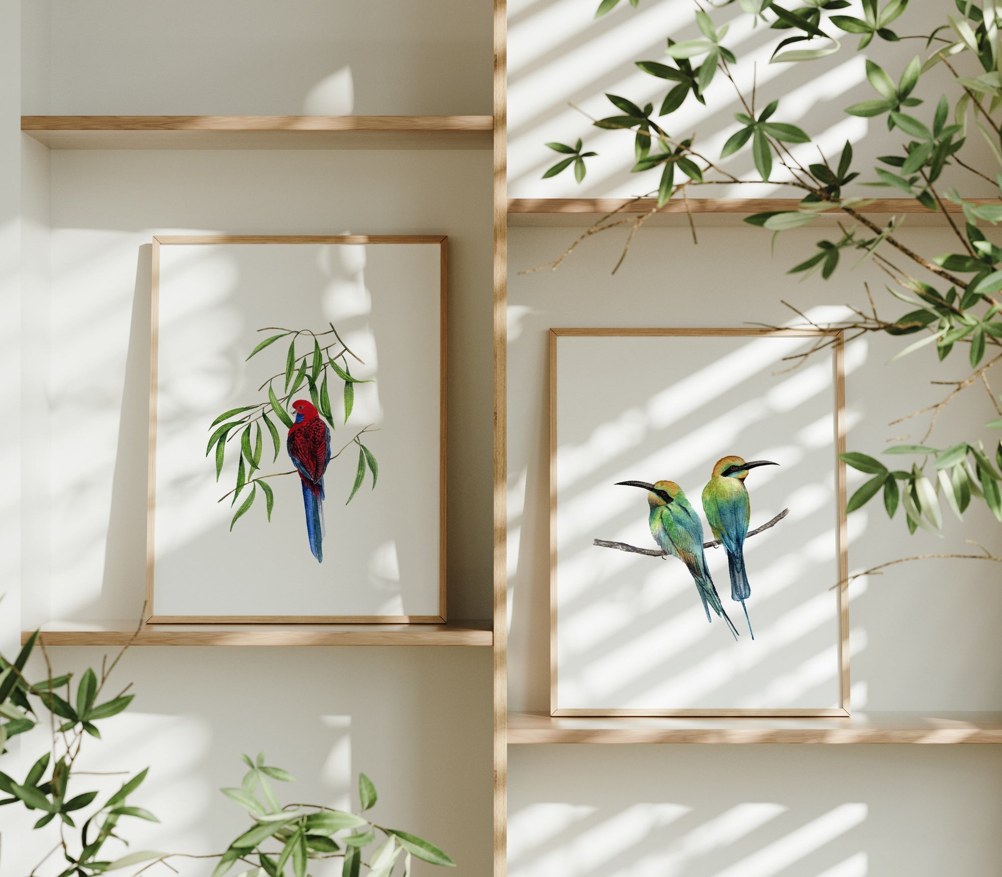 Rainbow Bee Eater Birds Fine Art Print